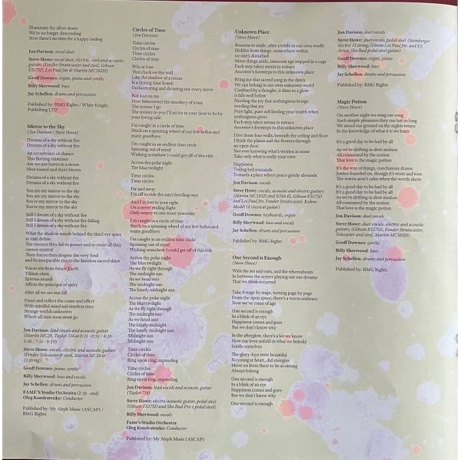 Yes - Mirror To The Sky (0196587775711) виниловая пластинка - фото 7