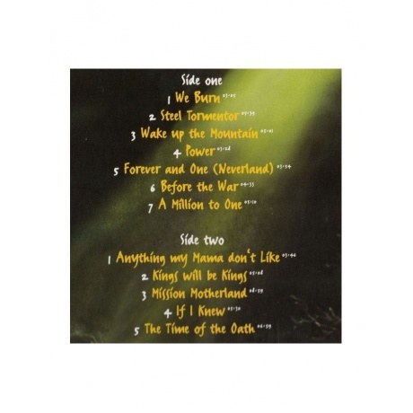 Виниловая пластинка Helloween, The Time Of The Oath (5414939922718) - фото 8