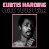 Виниловая пластинка Harding, Curtis, Face Your Fear (87140927537...