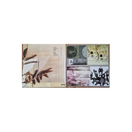 Виниловая пластинка Amorphis, Tuonela (coloured) (0781676498819) - фото 5