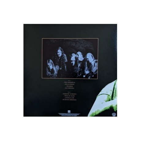 Arch Enemy - Burning Bridges (0196588004117) виниловая пластинка - фото 2