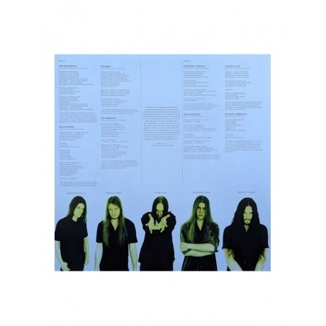 Arch Enemy - Burning Bridges (0196588004117) виниловая пластинка - фото 4