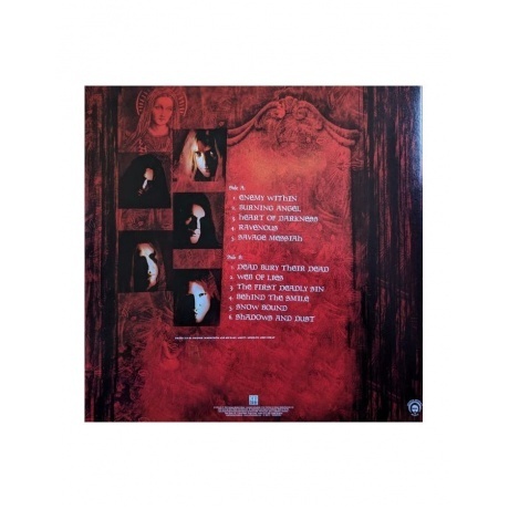 Arch Enemy - Wages Of Sin (0196588004612) виниловая пластинка - фото 3