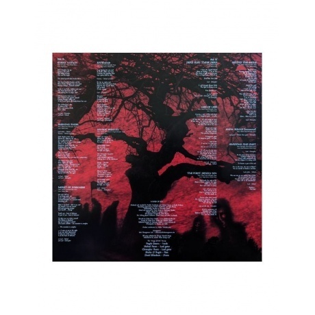 Arch Enemy - Wages Of Sin (0196588004612) виниловая пластинка - фото 6