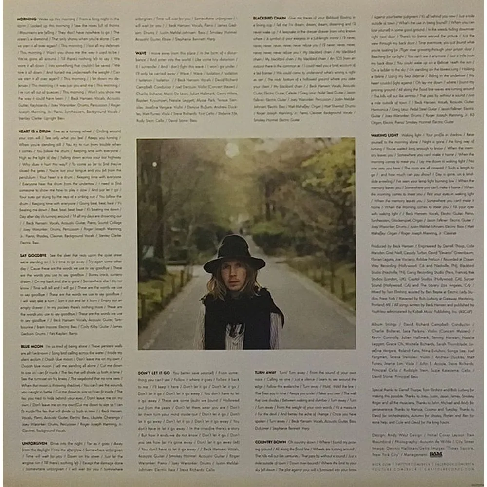 Beck - Morning Phase (0602537649747) виниловая пластинка - фото 5