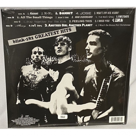 Blink-182 - Greatest Hits (0602435029641) виниловая пластинка - фото 2