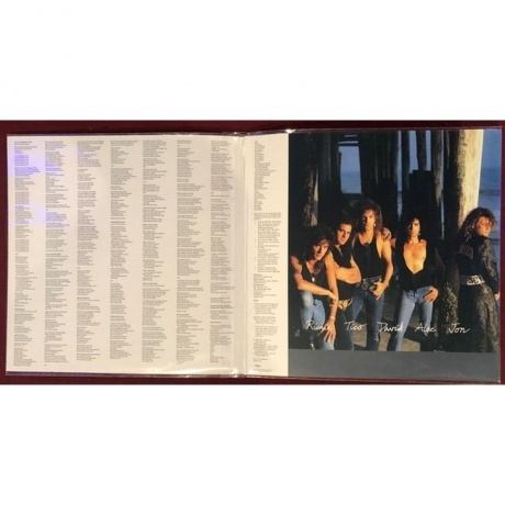 Bon Jovi - New Jersey (0602547029294) виниловая пластинка - фото 4