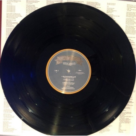 Bon Jovi - New Jersey (0602547029294) виниловая пластинка - фото 6