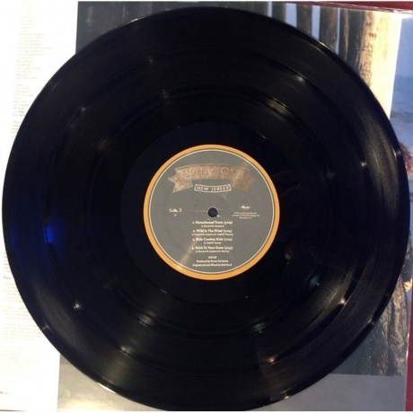 Bon Jovi - New Jersey (0602547029294) виниловая пластинка - фото 9