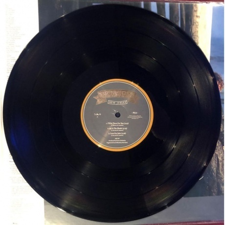 Bon Jovi - New Jersey (0602547029294) виниловая пластинка - фото 10