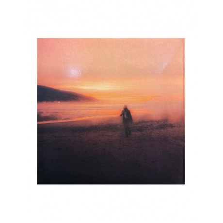 Виниловая пластинка Cave, Nick, Ghosteen (5056167114796) - фото 2