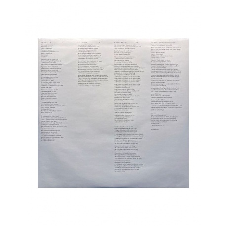 Виниловая пластинка Cave, Nick, Ghosteen (5056167114796) - фото 12