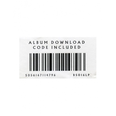 Виниловая пластинка Cave, Nick, Ghosteen (5056167114796) - фото 13