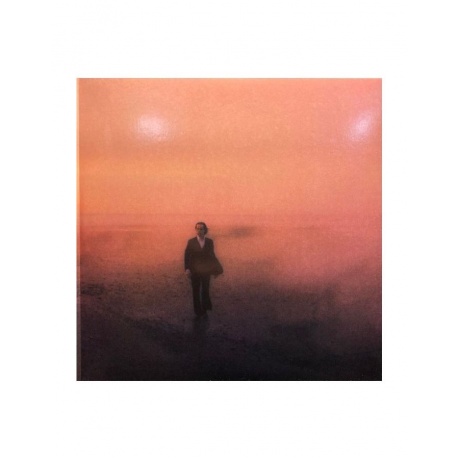 Виниловая пластинка Cave, Nick, Ghosteen (5056167114796) - фото 3