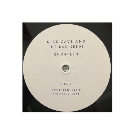 Виниловая пластинка Cave, Nick, Ghosteen (5056167114796) - фото 7