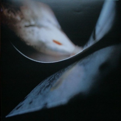 Cocteau Twins - Stars And Topsoil (coloured) (0652637001914) виниловая пластинка - фото 9