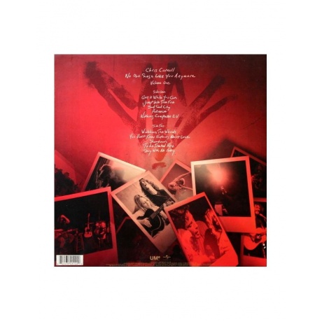 Виниловая пластинка Cornell, Chris, No One Sings Like You Anymore (0602435451220) - фото 2