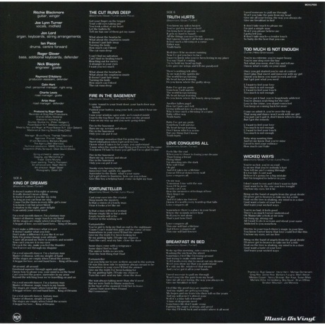 Deep Purple - Slaves And Masters (8718469530519) виниловая пластинка - фото 6