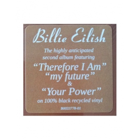 Billie Eilish - Happier Than Ever (0602435973548) виниловая пластинка - фото 14