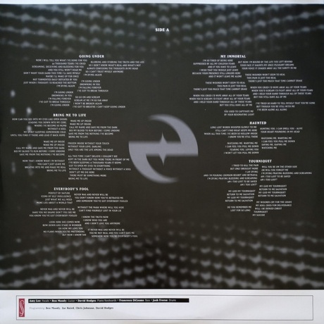 Evanescence - Fallen (0888072025097) виниловая пластинка - фото 10