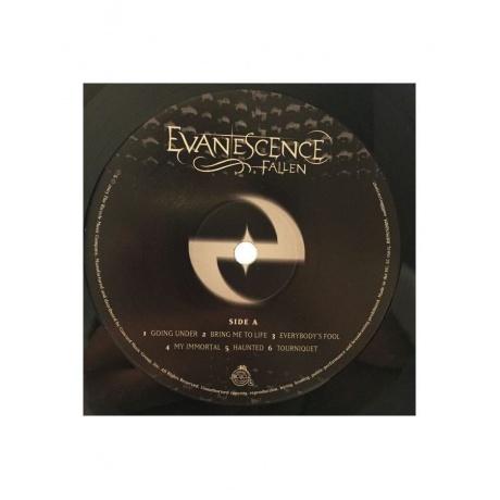Виниловая пластинка Evanescence, Fallen (0888072025097) - фото 3