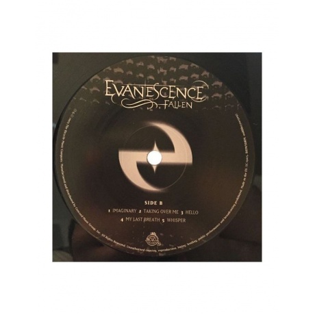 Виниловая пластинка Evanescence, Fallen (0888072025097) - фото 4