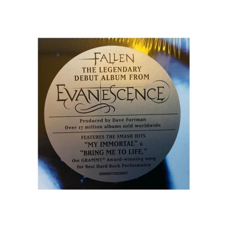 Виниловая пластинка Evanescence, Fallen (0888072025097) - фото 7