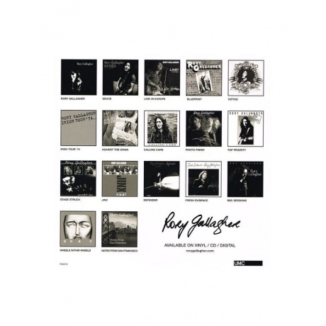 Виниловая пластинка Gallagher, Rory, Against The Grain (0602557971279) - фото 6