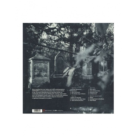 Steve Hackett - Darktown (0196588008016) виниловая пластинка - фото 2