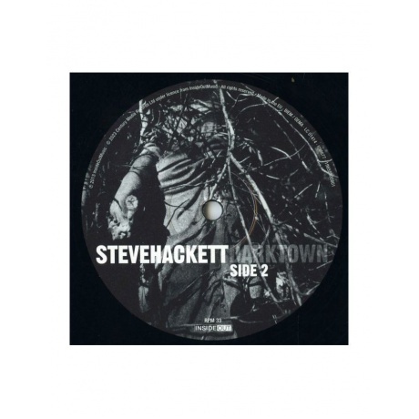 Steve Hackett - Darktown (0196588008016) виниловая пластинка - фото 4
