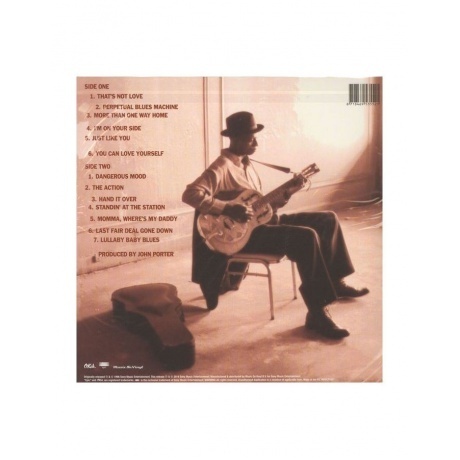 Keb' Mo', Just Like You (8718469535521) виниловая пластинка - фото 2