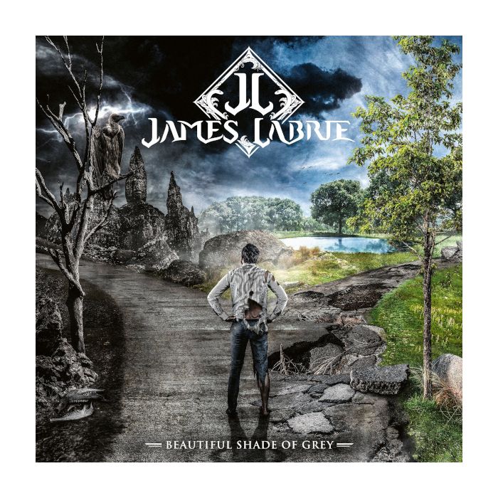 Виниловая пластинка LaBrie, James, Beautiful Shade Of Grey (0194399918012)