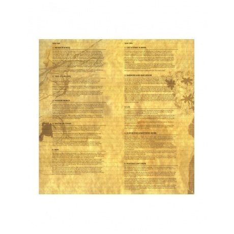 Amy Macdonald - This Is The Life (0600753923344) виниловая пластинка - фото 2