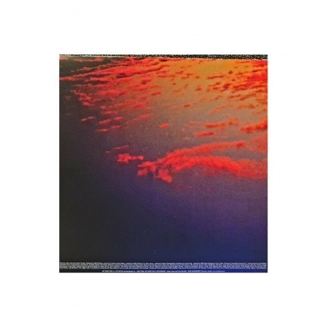 Placebo - Battle For The Sun (5056167110477) виниловая пластинка - фото 6