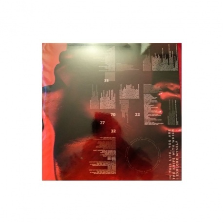 Sevdaliza - Ison (coloured) (8719262004757) виниловая пластинка - фото 5