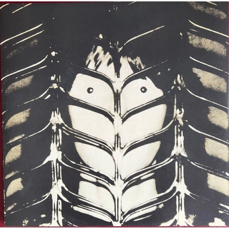 Chris Squire - Fish Out Of Water (5013929472105) виниловая пластинка - фото 7