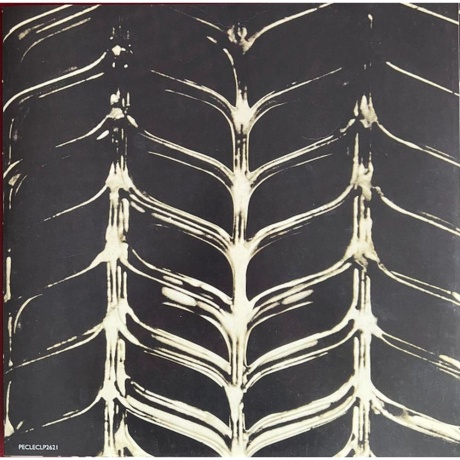 Chris Squire - Fish Out Of Water (5013929472105) виниловая пластинка - фото 8