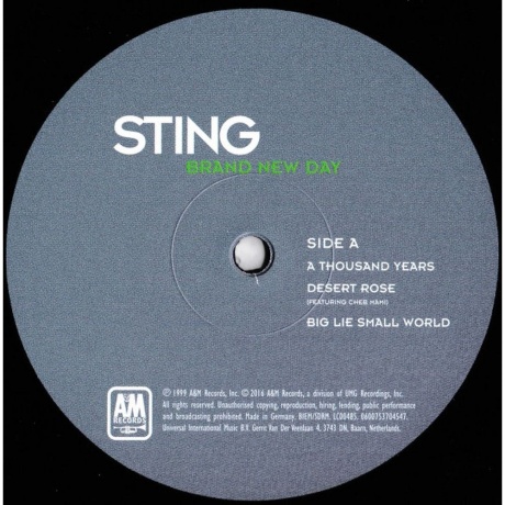 Sting - Brand New Day (0600753704523) виниловая пластинка - фото 3