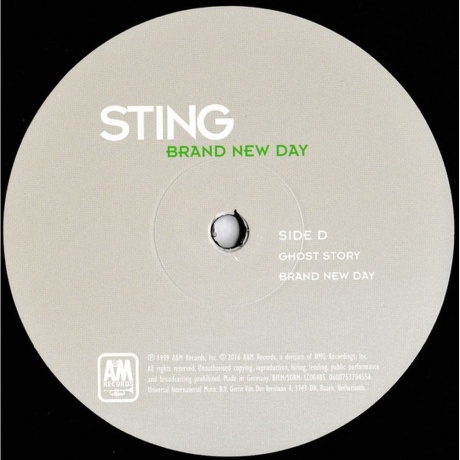 Sting - Brand New Day (0600753704523) виниловая пластинка - фото 6