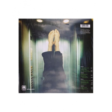 Виниловая пластинка Sting, Brand New Day (0600753704523) - фото 2