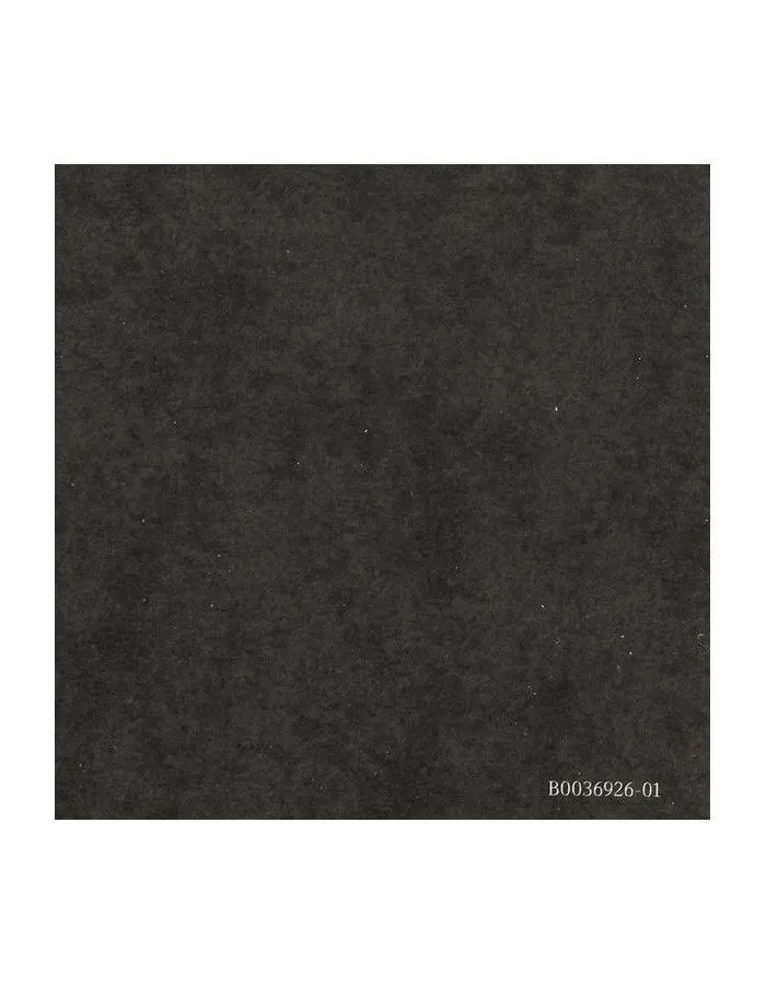 Виниловая пластинка Twain, Shania, Queen Of Me (0602448616128) - фото 14