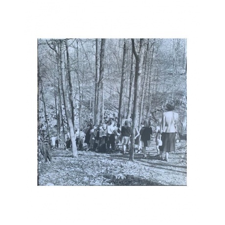 Jack White - Entering Heaven Alive (0810074421065) виниловая пластинка - фото 6