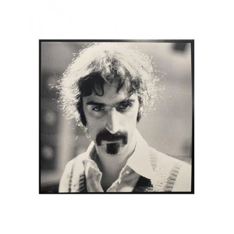 Виниловая пластинка Zappa, Frank, Funky Nothingness (0602455270801) - фото 9