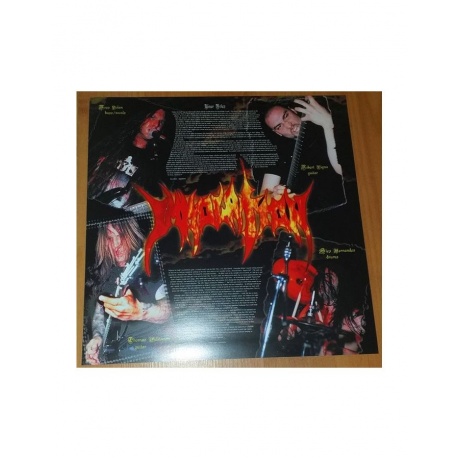 Виниловая пластинка Immolation, Failures For Gods (0039841419719) - фото 3