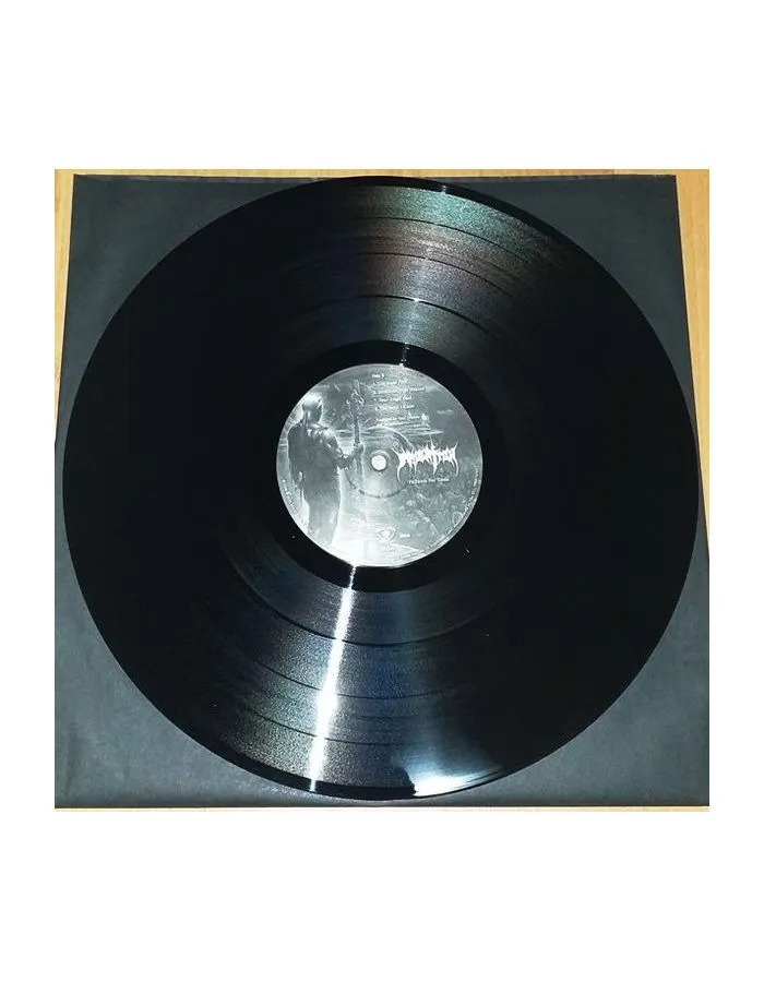 Виниловая пластинка Immolation, Failures For Gods (0039841419719) - фото 7