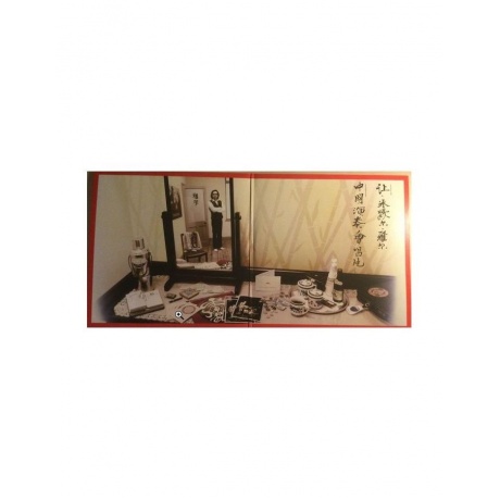 Виниловая пластинка Jarre, Jean Michel, The Concerts In China (0194399458112) - фото 11