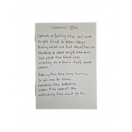 Виниловая пластинка Noel Gallagher's High Flying Birds, Council Skies (5052945063010) - фото 11