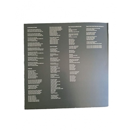 Виниловая пластинка Noel Gallagher's High Flying Birds, Council Skies (5052945063010) - фото 13