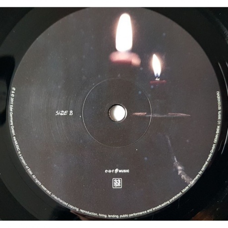 Tarja - From Spirits And Ghosts (4029759122456) виниловая пластинка - фото 6