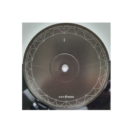 4029759110712, Виниловая пластинка Tarja, The Shadow Self (coloured) - фото 6